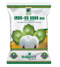 Cotton Indo US 9999 BG II (Pack of 3)